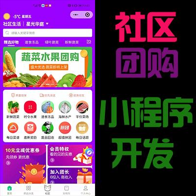 蔬东坡系统手机APP软件教育同城跑腿物联网安卓ios商城小程序开发定制代做